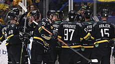 Radost hokejist Sokolova