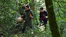 Houbai hledají houby bhem lesní vycházky poádané v Národním lese Belleme...