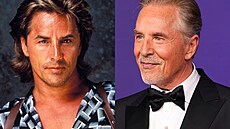 Don Johnson v letech 1988 a 2024