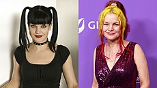 Pauley Perrette v letech 2004 a 2023