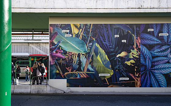 St�ny na autobusovém nádra�í �erný Most ozdobily fotografie z Botanické zahrady...