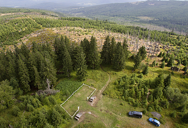 Macinka chce národní parky vyhladovět, líčí aktivista. Škrty nejvíce zasáhnou Šumavu