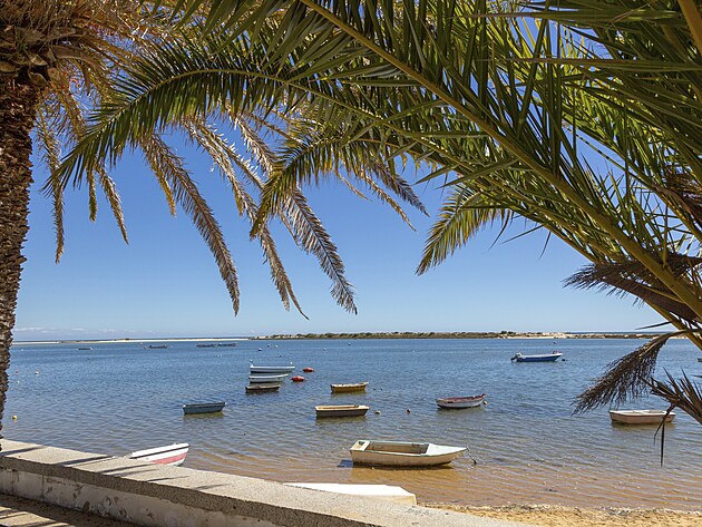 Pobřeží přírodní rezervace Ria Formosa