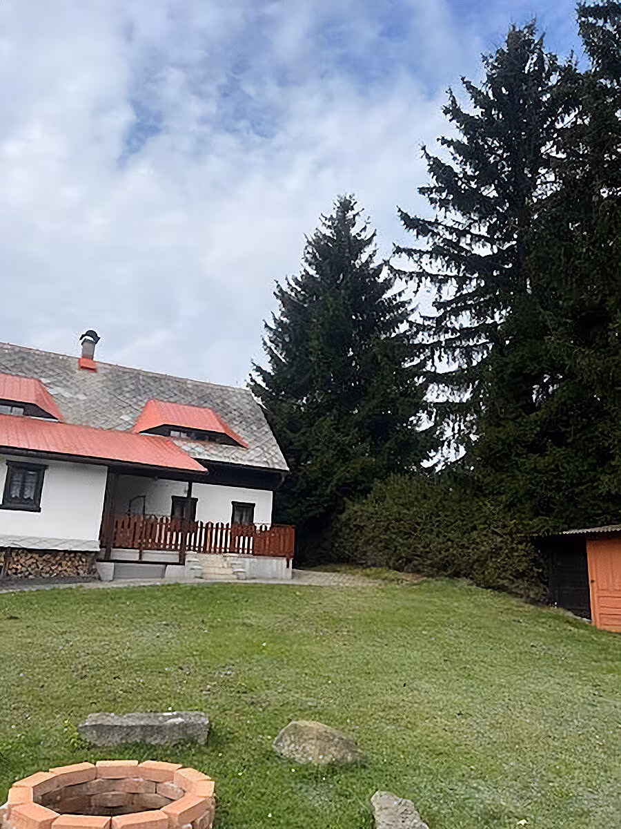 Váno�ní strom pro Prahu roste v Krompachu na �eskolipsku.