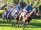 �okej Jaroslav My�ka na koni Sexy Lord v �ele Velk� pardubick�