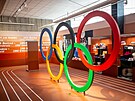 Vstava Olympijsk pbhy v Nov budov Nrodnho muzea. (15. jna 2024)