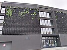Uschl� zelen� fas�da na n�zkoenergetick�m bytov�m dom� v Tomkov� ulici se na...