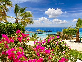 Nikdo vám nevnucuje, abyste vyrazili zrovna do egyptského Marsa Alam. Ale o té...