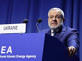 Ukrajinský ministr energetiky Herman Haluenko (20. srpna 2024)