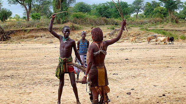 eny se nechvaj lehat od mu silnmi pruty, a maj zda rozdrsan do krve.
