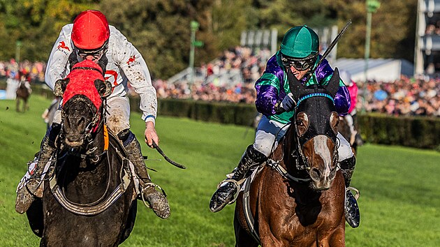 okej Jan Faltejsek s Godfreym (vlevo) a Jaroslav Myka se Sexy Lordem v clov rovince