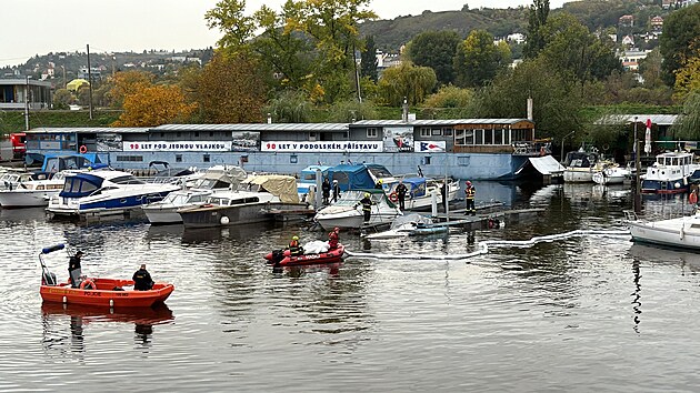 Potpjc se lo v podolskm pstavu (11. ijna 2024)