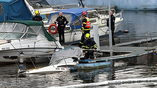 Potpjc se lo v podolskm pstavu (11. ijna 2024)