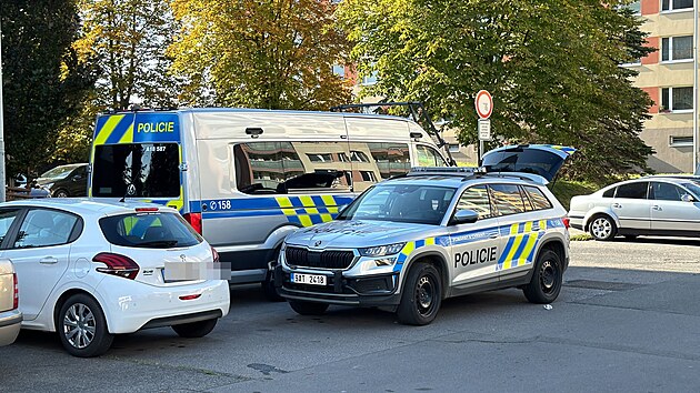 Pra��t� policist� v Horn�ch Po�ernic�ch prov��ovali ozn�men�, podle kter�ho m�lo doj�t fyzick�mu napaden� mezi dv�ma mu�i. (17. ��jna 2024)