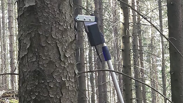 Sondu je mon pidlat na teleskopick nstavec a prohlet s n i vy patra strom.