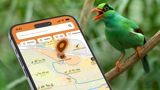 Ztratili jste se, nev�te jak se dostat co nejkrat�� cestou ke goril�m, slon�m �i hrab���m? St�hn�te si p�ed n�v�t�vou Zoo Praha do telefonu jej� novou mobiln� aplikaci a snadno s n� zajist�te celou n�v�t�vu: od n�kupu e-vstupenek s�ni���m tarifem ne� na pokladn�, sestaven� ide�n� trasy a� po informace o jednotliv�ch zv��atech.
