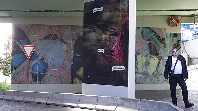 Stny na autobusovm ndra ern Most ozdobily fotografie z Botanick zahrady Praha. K vzdob stn terminlu poslouil takzvan vertikln tisk fotografi. (15. jna 2024)