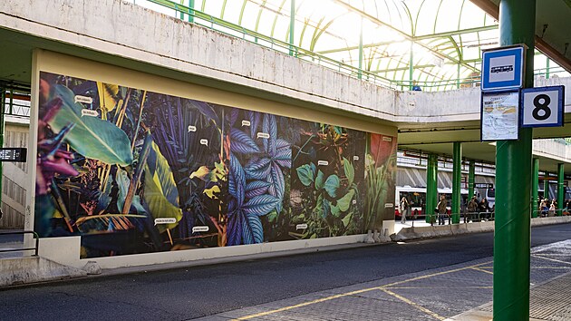 Stny na autobusovm ndra ern Most ozdobily fotografie z Botanick zahrady Praha. K vzdob stn terminlu poslouil takzvan vertikln tisk fotografi. (15. jna 2024)