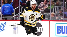 David Pastrák  z Bostonu slaví gól na led Colorada.