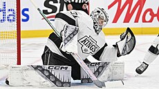 David Rittich v brance Los Angeles zasahuje v utkání proti Torontu.