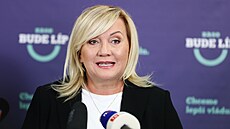 Alena Schillerová na tiskové konferenci stínové vlády hnutí ANO. (10. íjna...