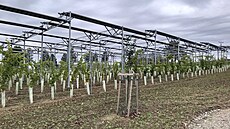 V pípad klasické fotovoltaiky s panely vespodu je ochrana proti vniknutí...