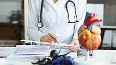 ilustra�ní snímek