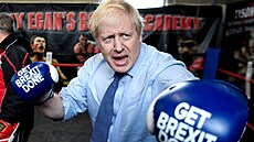 Boris Johnson b�hem kampan� za brexit