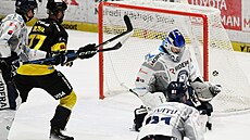 Vítkovický branká Luká Paík inkasuje gól v utkání proti Litvínovu.