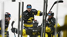 Litvínovtí hokejisté se radují z gólu.