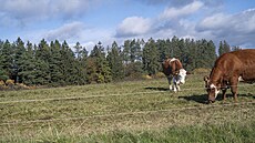 Od výbuchu muni�ních sklad� ve Vlachovicích-Vrb�ticích uplynulo deset let. Na...