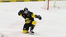 Litvínovský útoník Maxim ajkovi slaví vstelený gól.