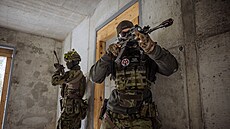 Tisíce �ech� by �ly s Putinem, cvi�í proti nim armádní skupina informa�ního...