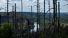 Ukrajinskou p�írodu ni�í válka. V národním parku Svaté Hory, kde d�íve bujely...