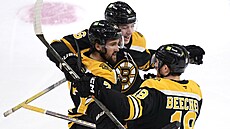 Radost hokejist Bostonu po gólu v utkání s Floridou.