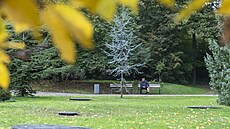 Zlín chce zkultivovat park Svobody a oivit také zámek. (íjen 2024)