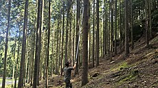 Sondu je moné pidlat na teleskopický nástavec a prohlíet s ní i vyí patra...