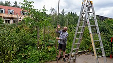 Zahradník Tomá Trejbal radí, jak vyvázat korunu oeáku, aby rostla pkn...