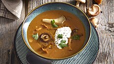 Ma�arsk� houbov� pol�vka