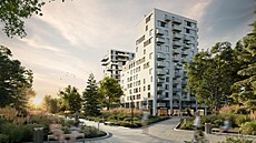 Projekt Paprsek Stod�lky