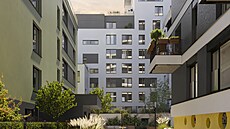 Projekt Paprsek Stod�lky