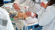 Medici v akci: Trénink postup� v simula�ním centru je d�le�itou sou�ástí studia.