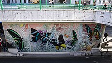 St�ny na autobusovém nádra�í �erný Most ozdobily fotografie z Botanické zahrady...