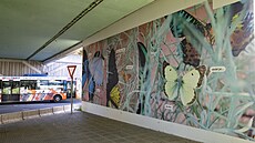 St�ny na autobusovém nádra�í �erný Most ozdobily fotografie z Botanické zahrady...