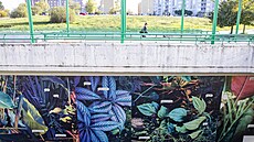 St�ny na autobusovém nádra�í �erný Most ozdobily fotografie z Botanické zahrady...