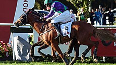 Nejtsnjí dobh Velké pardubické v historii pinesl dva vítze. V popedí...