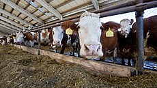 Zemdlské drustvo Novosedly se sídlem v Pov na Karlovarsku investovalo do...