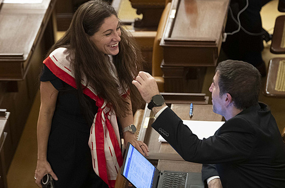 Místopedsedkyn ODS Eva Decroix a poslanec ODS Karel Haas ve Snmovn