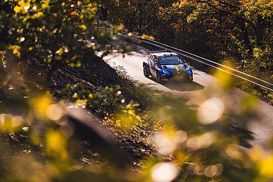 Filip Mare se svou toyotou na trati Stedoevropské rallye WRC.