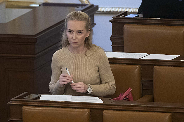 Poslankyn SPD Karla Maíková ve Snmovn 24. íjna 2024